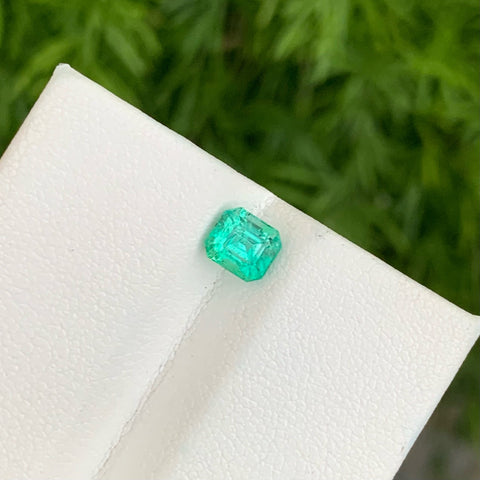 Emerald 1.00 Caters Cut Afghani Gemstone