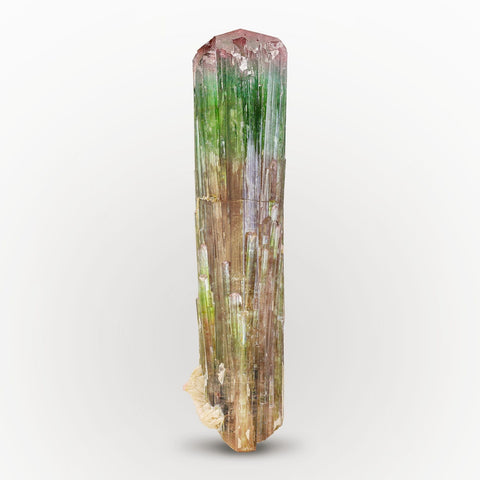 double terminated multicolored Tourmaline Crystal with Albite from Afghanistan