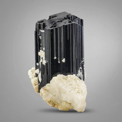  Lustrous Black Tourmaline with Albite