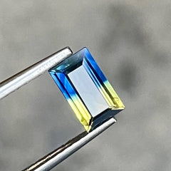  Bicolor Parti Sapphire 0.75 Carats