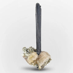 Schorl Black Tourmaline on Apatite