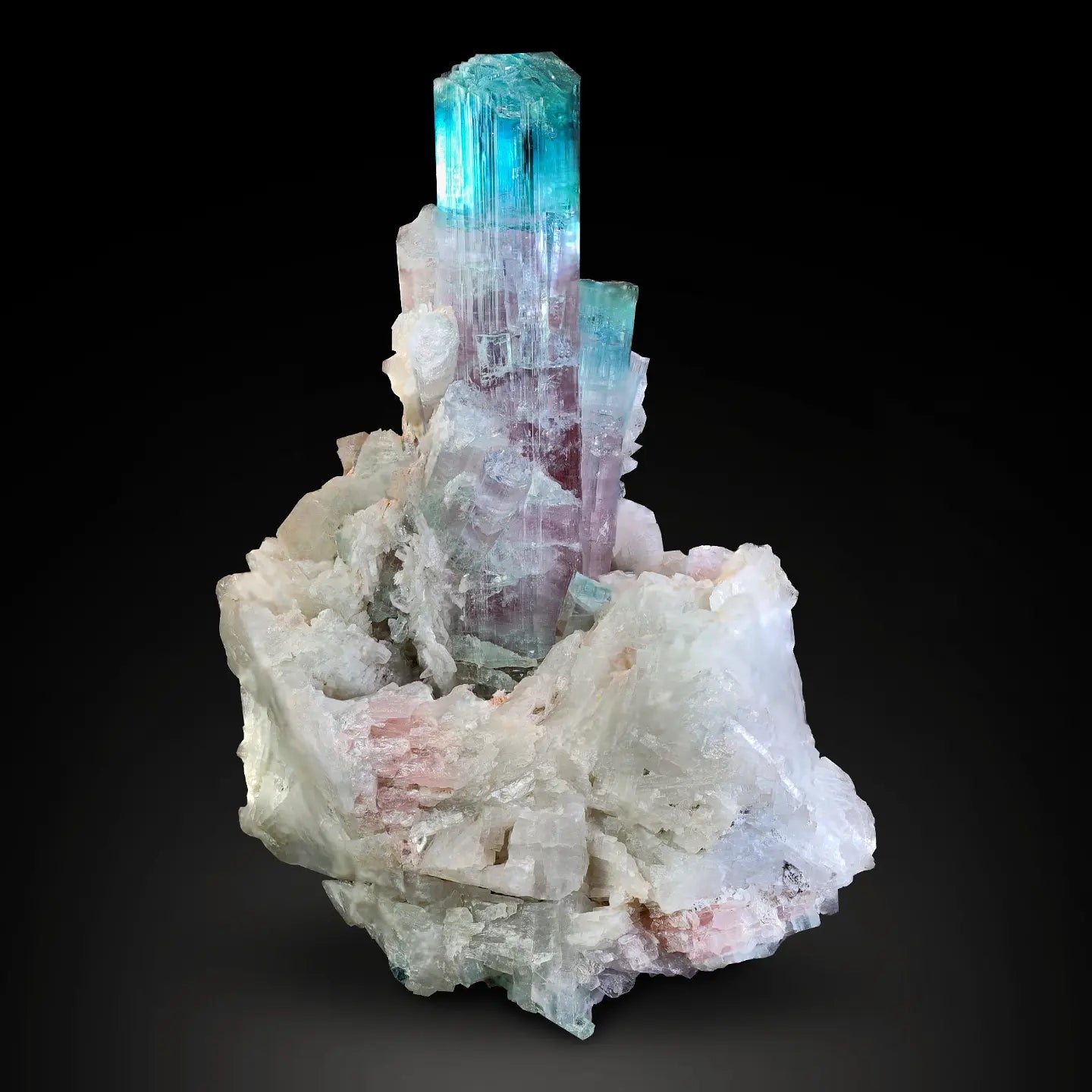 Aristocratic Bicolor Tourmaline Crystal with Indicolite Blue and Rubelite colors from Afghanistan