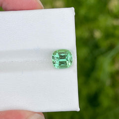 Limited Edition Mint Green Tourmaline 2.45 carats Cushion Cut Afghani Loose Gemstone