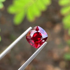 Invest in Fine Quality Red Burmese Spinel 1.55 carats Cushion Cut Natural Gemstone