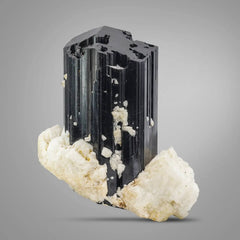  Lustrous Black Tourmaline with Albite