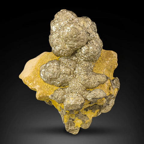 Golden Color Pyrite Crystals on Limonite Matrix from Pakistan