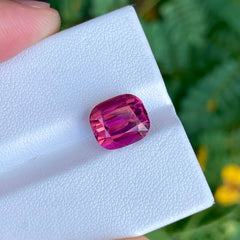 Pink Tourmaline 6.70 Carat Cushion Cut