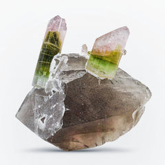 Bi-color Tourmaline on Smoky Quartz