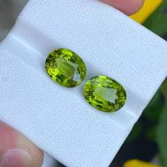 8.20 carats Green Peridot Pair Oval Cut