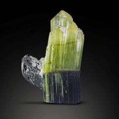 Rare Bicolor Tourmaline with Tantalite