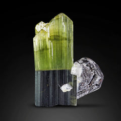 Rare Bicolor Tourmaline with Tantalite