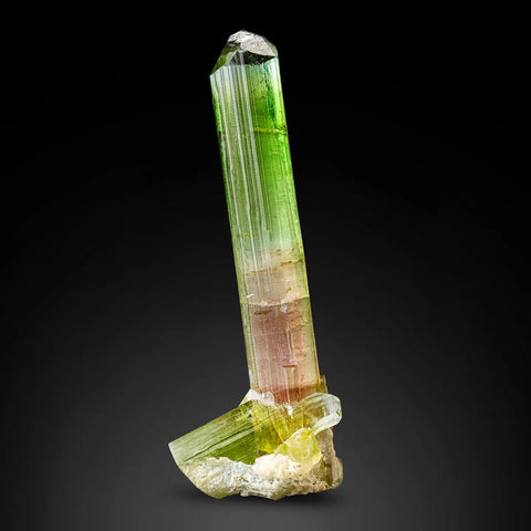 14 Grams Bicolor Tourmaline Crystal with White Albite