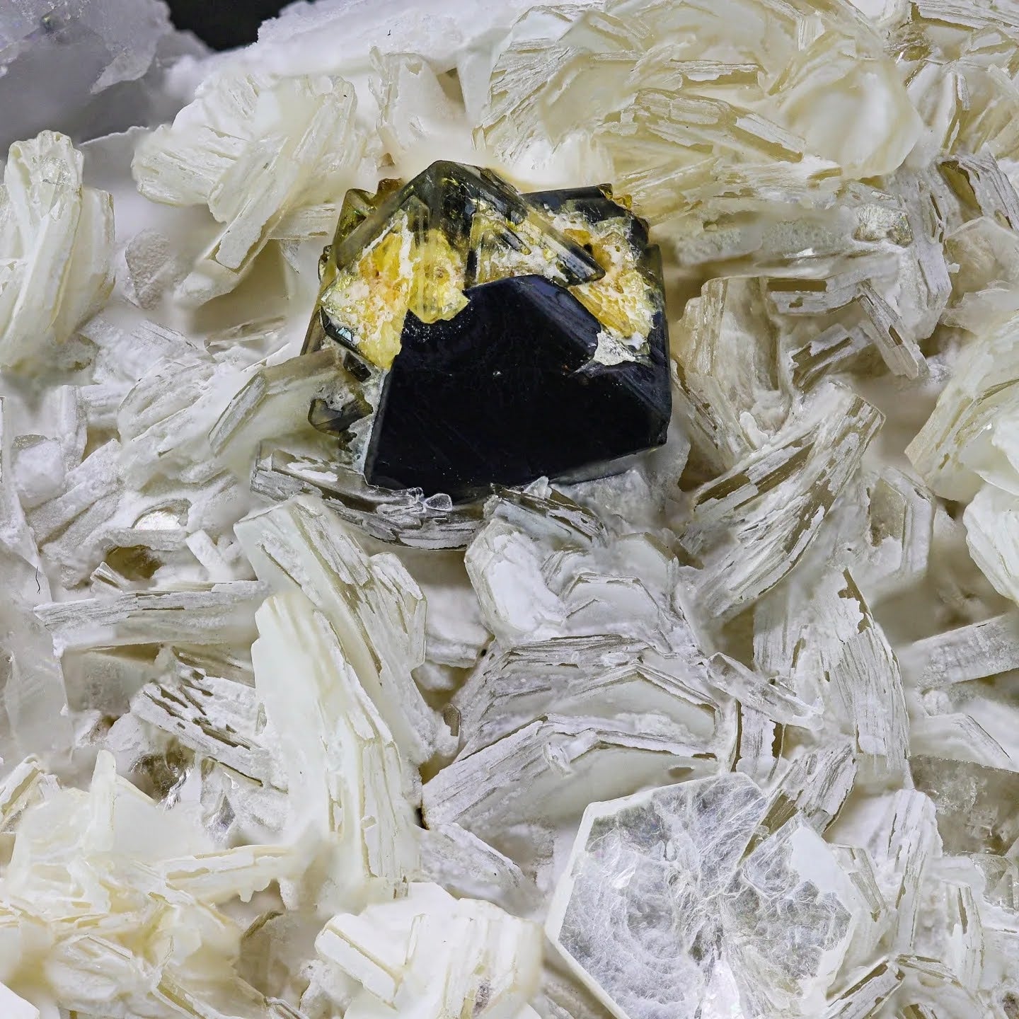 Bicolor Microlite crystal on Mica