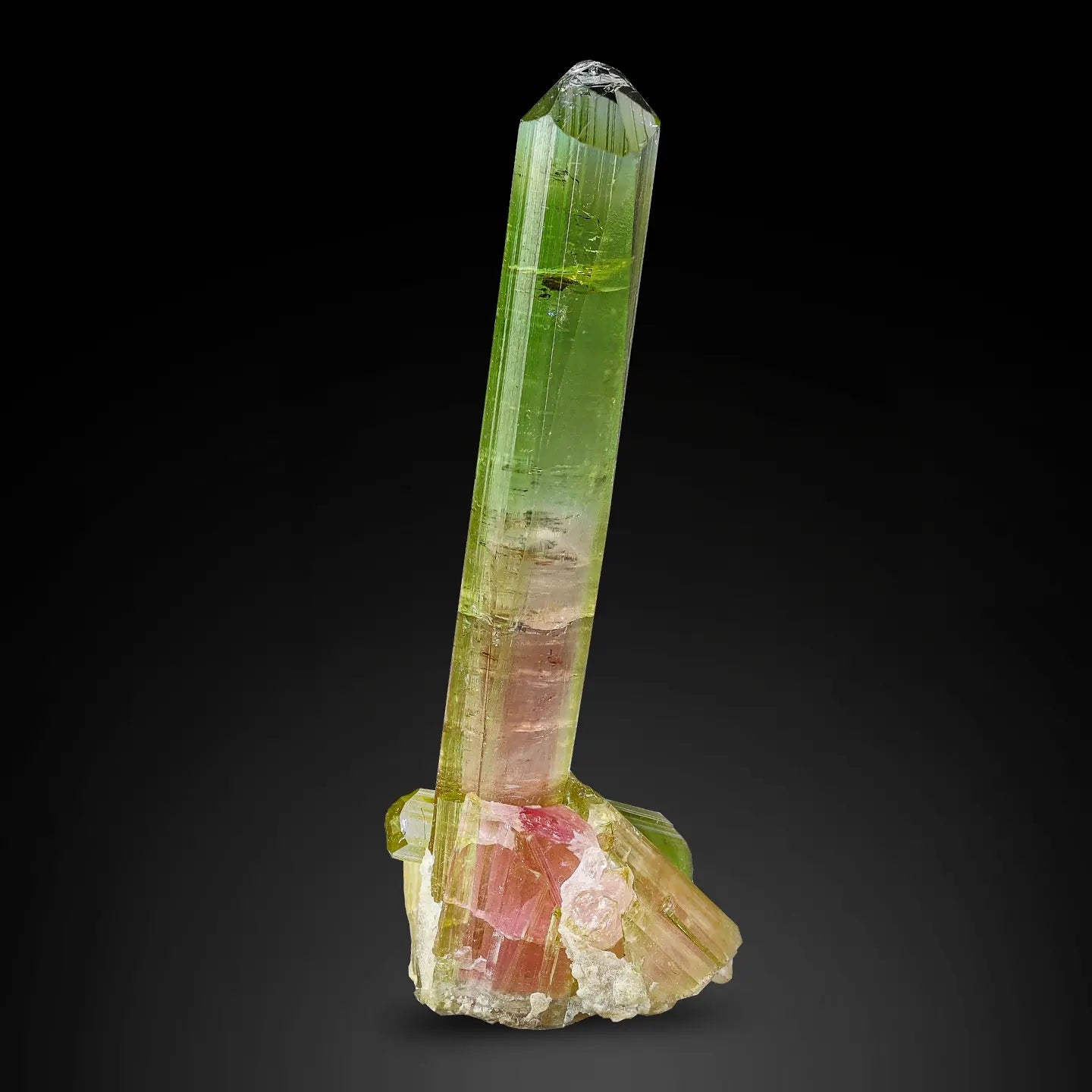 14 Grams Bicolor Tourmaline Crystal with White Albite