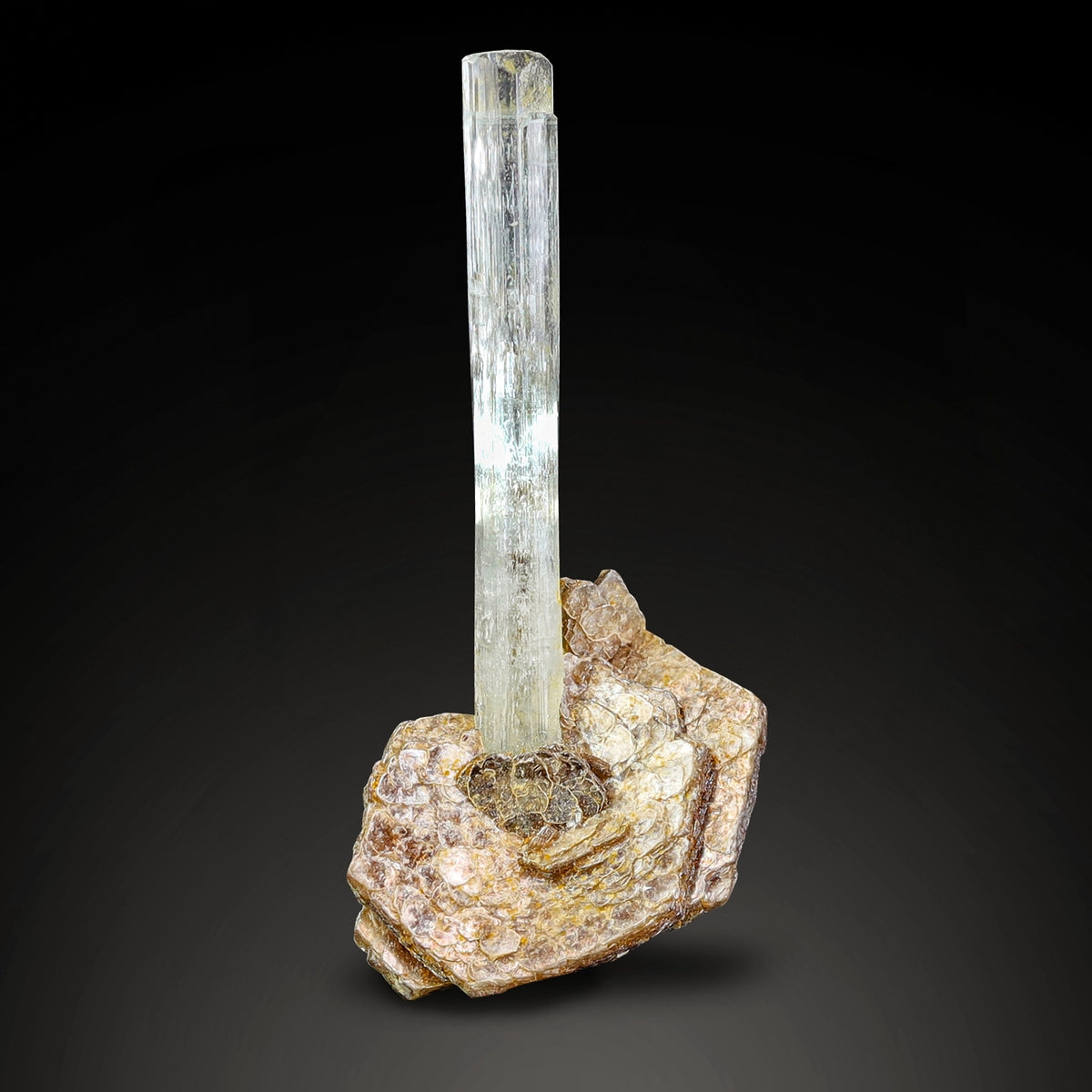 Elongated Aquamarine Crystal on Muscovite from Pakistan