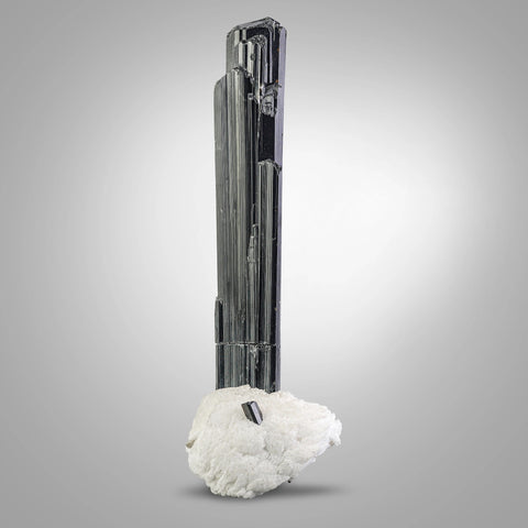 Captivating And Sculptural Black Tourmaline Crystal Nicely Positioned On Albite from Pakistan