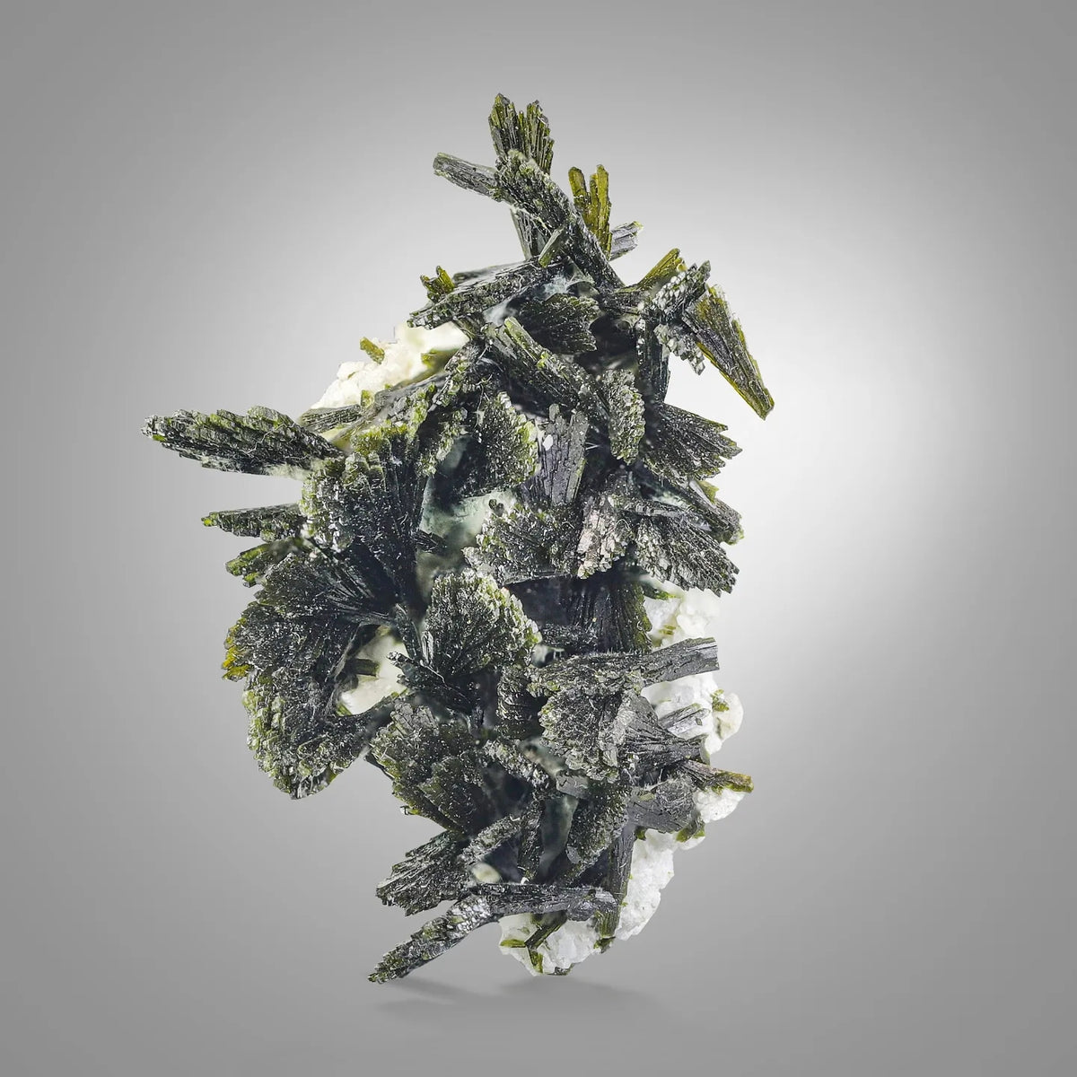 Collect The Gorgeous Forest Green Epidote Crystals on Albite from Pakistan