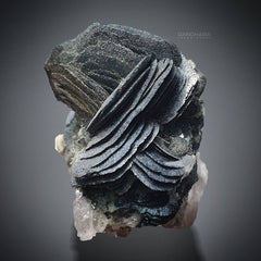 Beautiful Hematite Rose Crystals on Calcite