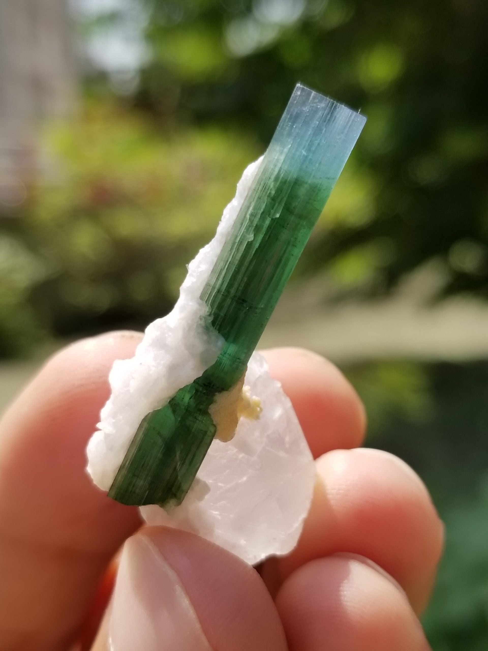 Bicolor Tourmaline Crystal on matrix Quartz