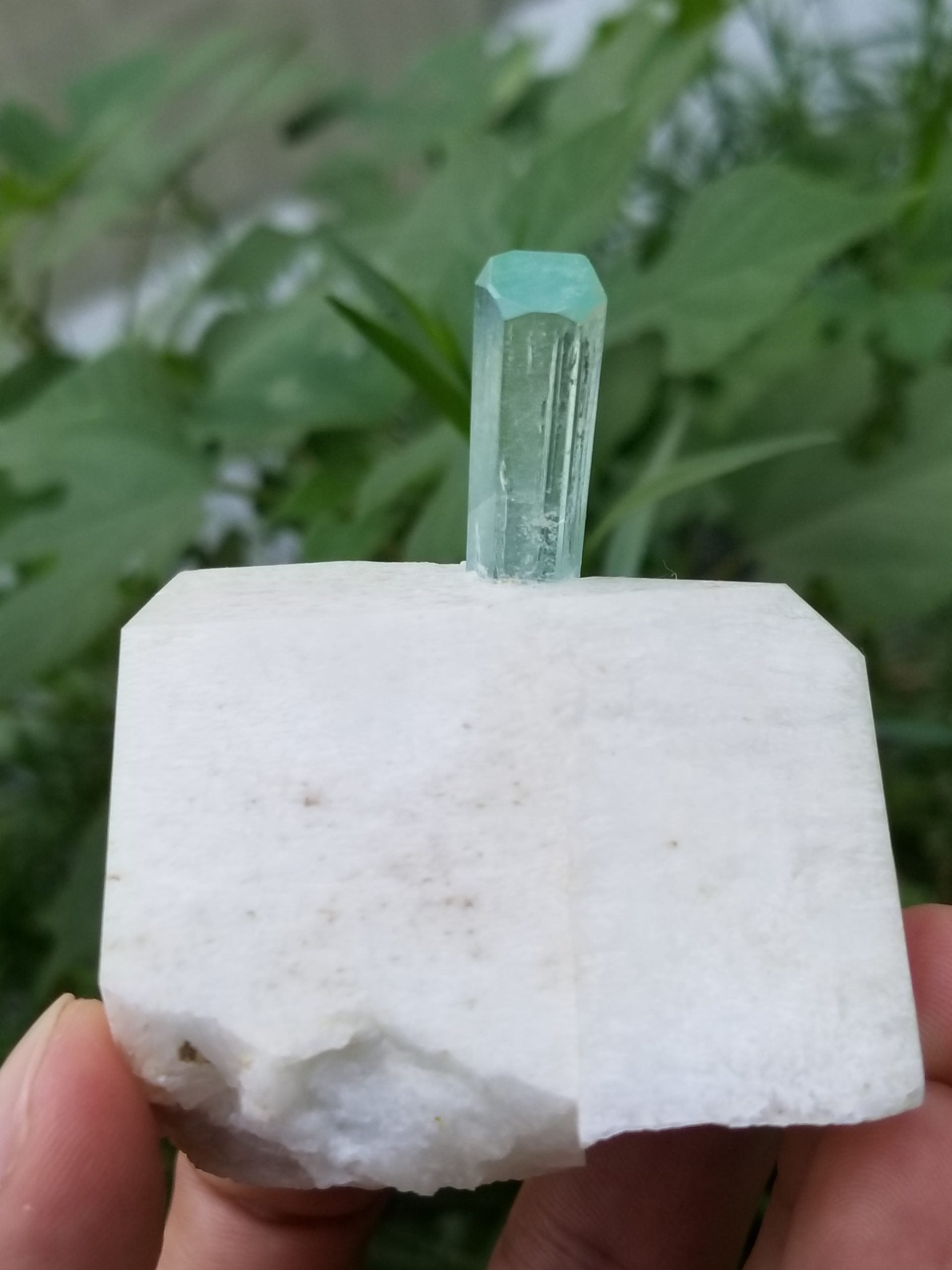 Gorgeous Aquamarine Crystal on matrix microcline