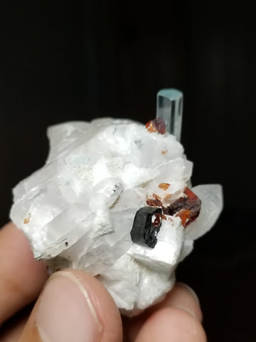 Beautiful Aquamarine Crystal on Albite with Spessartite Garnet and Quartz