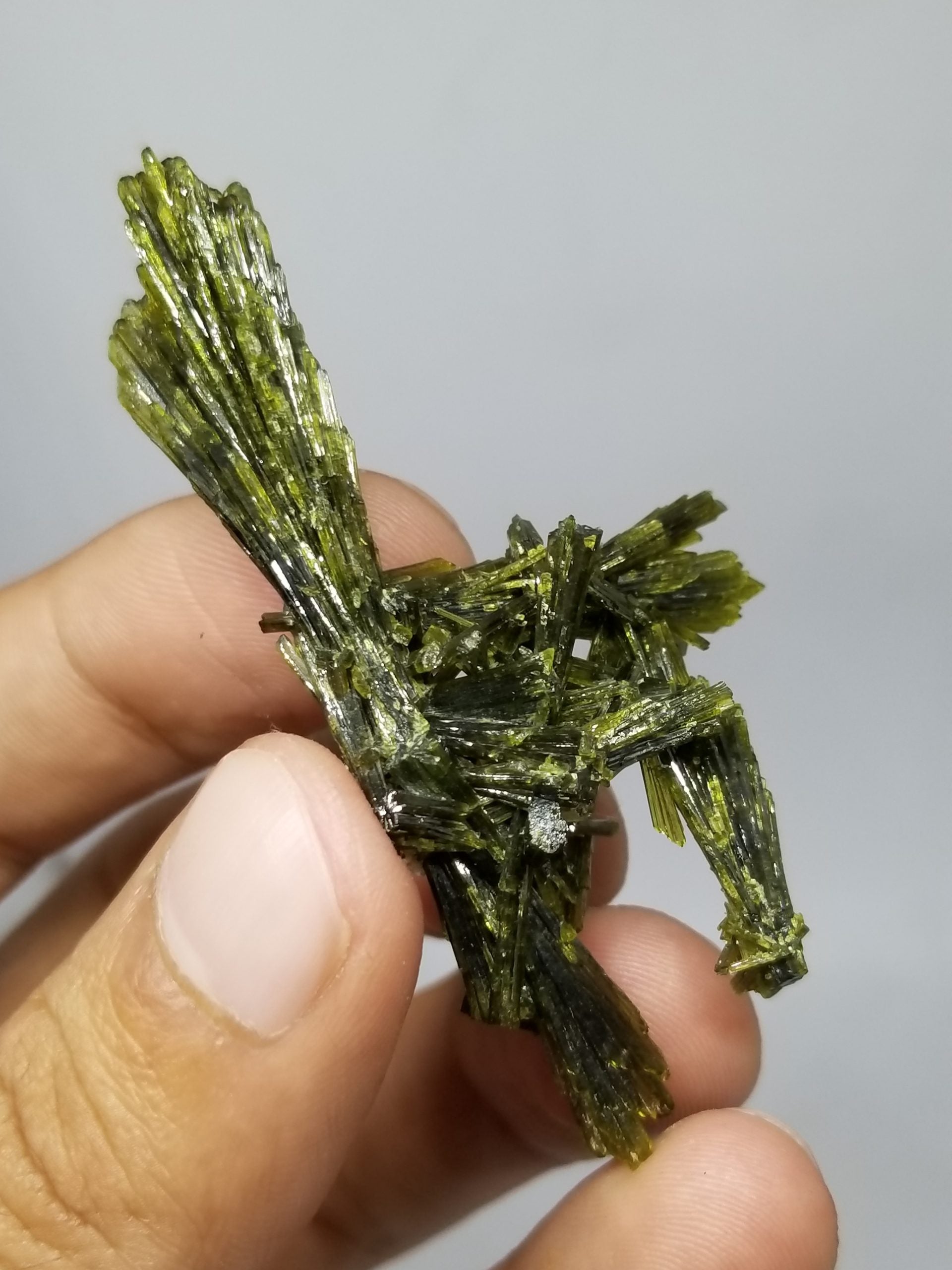 Nice Cluster of Epidote Crystals with Fine Luster and Color
