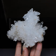 Gorgeous Pointed Quartz Crystals Cluster