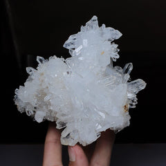 Gorgeous Pointed Quartz Crystals Cluster