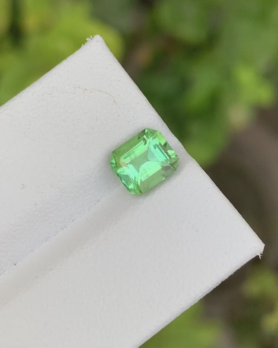 Magnificent Mint Green Tourmaline Gem