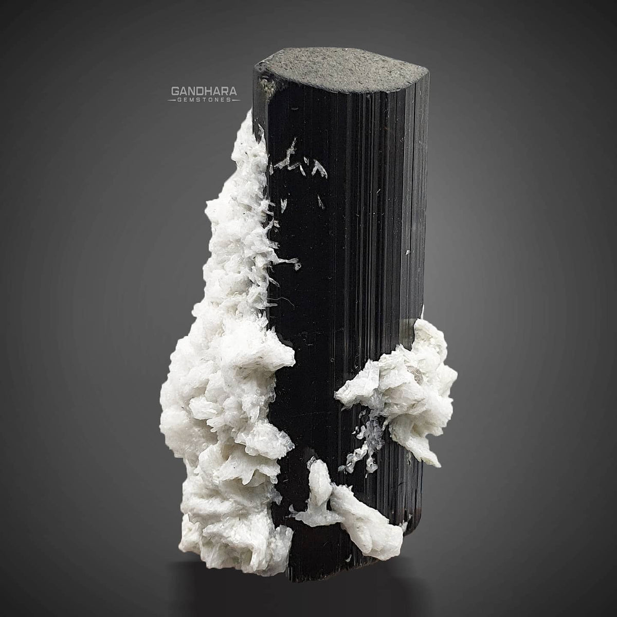Aesthetic Doubley Terminated Lusterious Schorl with Cleavelandite