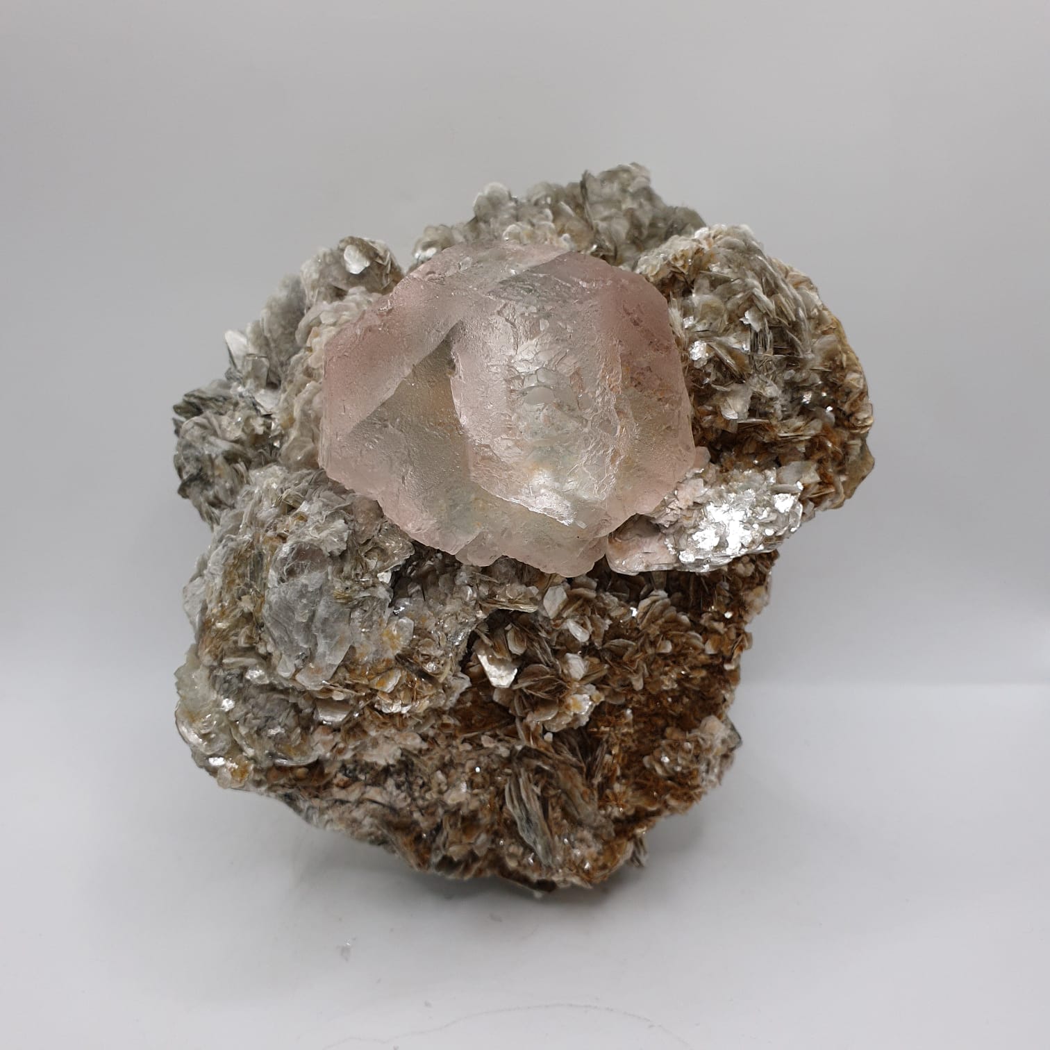 Aesthetic And Attractive Focal Crystal Of Pink Fluorite On Muscovite
