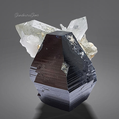 Anatase Crystal with Pointed Chlorine included Quartz