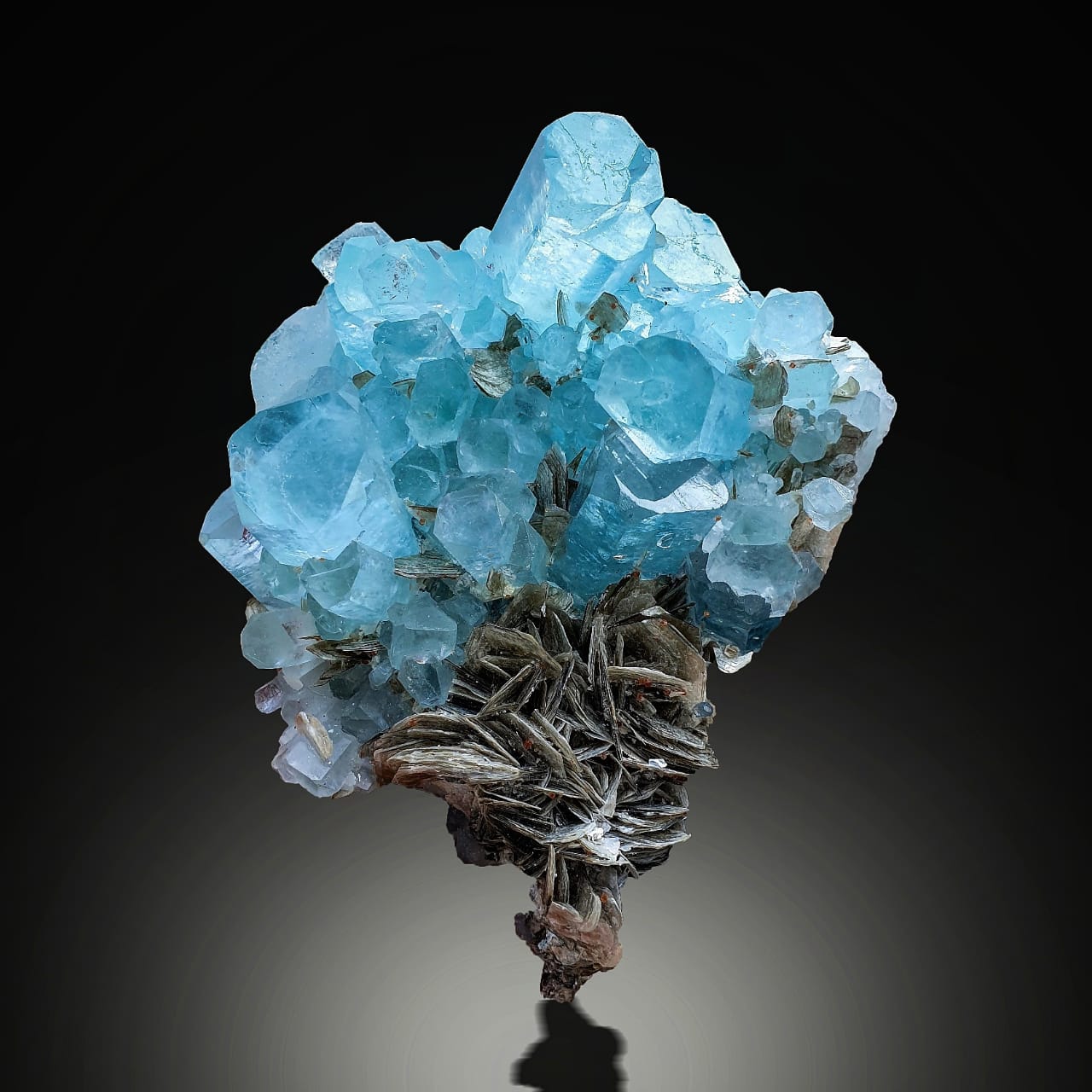 Aquamarine Cluster with Pink Apatite on Muscovite