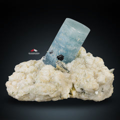 Aquamarine With Hematite Rosette On White Albite