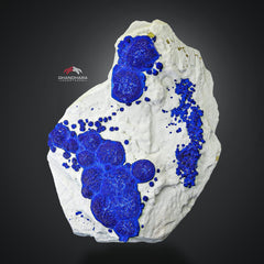 Attractive And Impressive Azurite Sun Round Crystals On Kaolinite Matrix