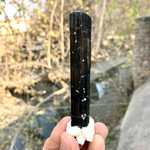 Attractive Elongated Black Tourmaline Crystal On Snowy White Albite
