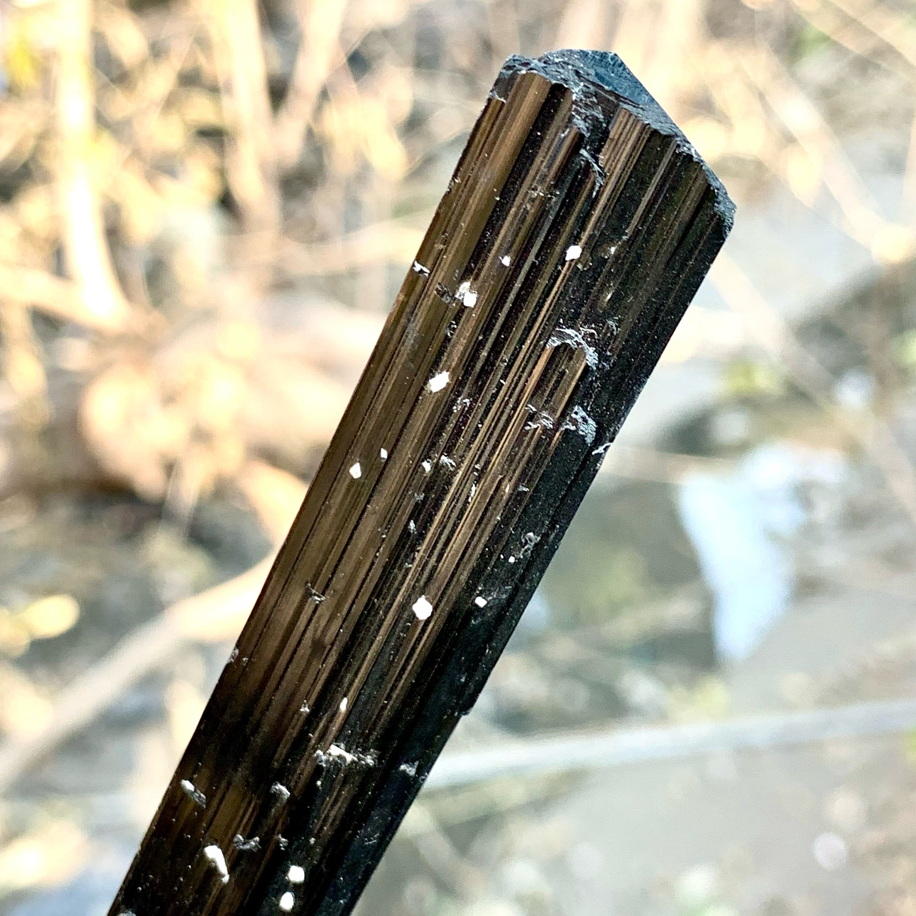 Attractive Elongated Black Tourmaline Crystal On Snowy White Albite