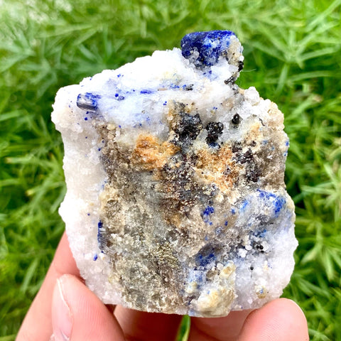Azure Blue Isolated Lazurite Crystal Nicely Positioned On Calcite Matrix