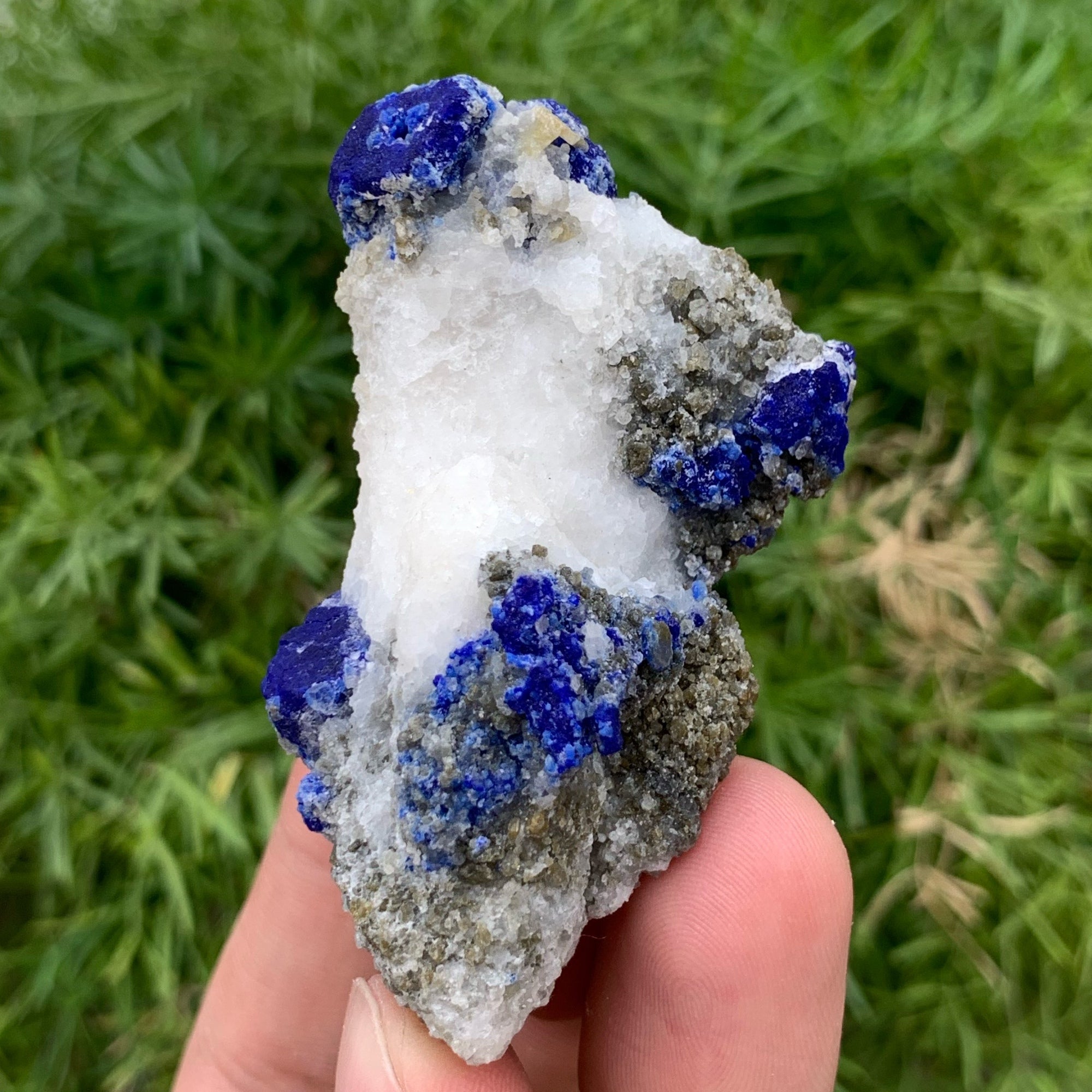 Azure Blue Isolated Lazurite Crystals On Calcite Matrix