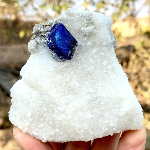Azure Blue Lazurite Crystal Nicely Positioned On Creamy White Calcite Matrix