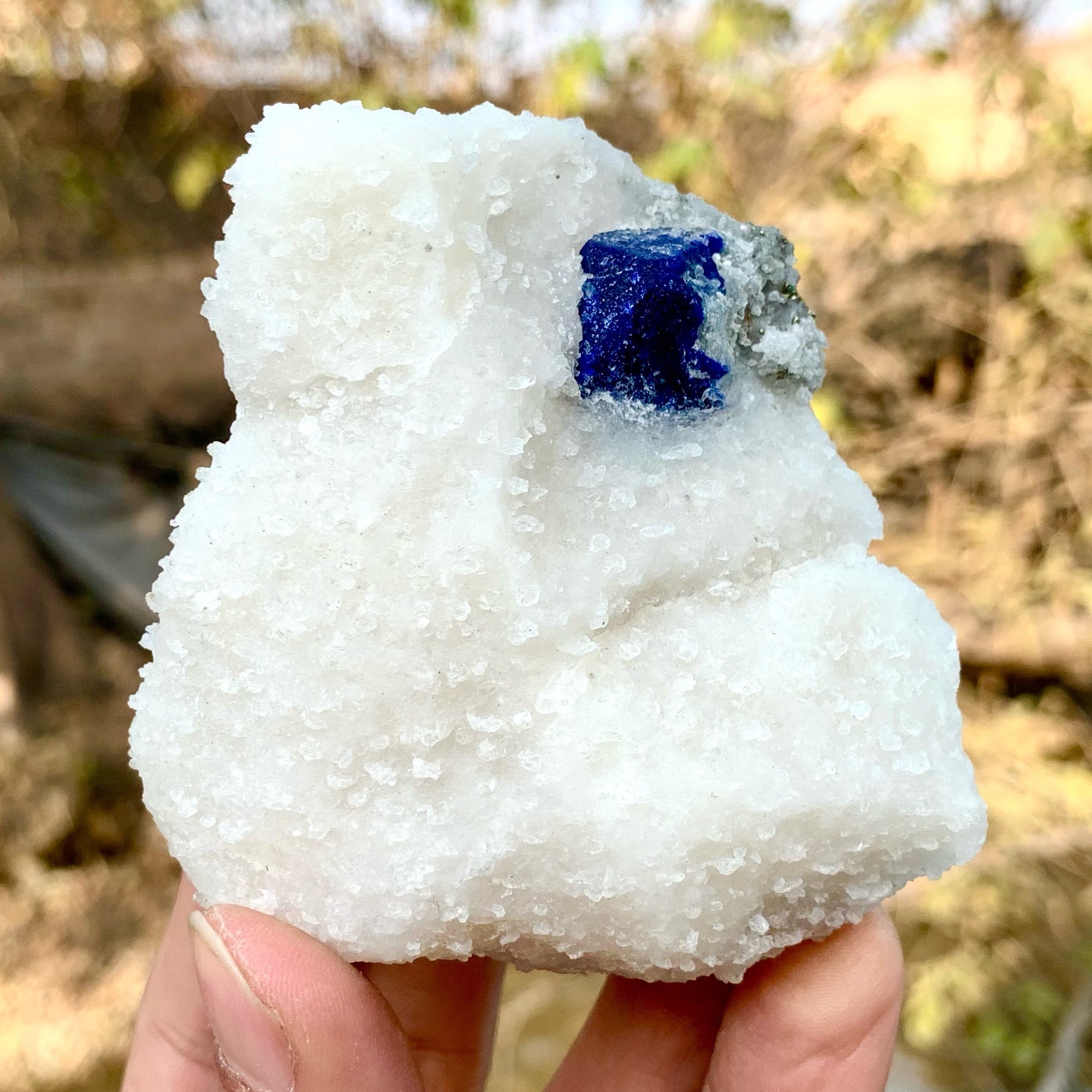 Azure Blue Lazurite Crystal Nicely Positioned On Creamy White Calcite Matrix