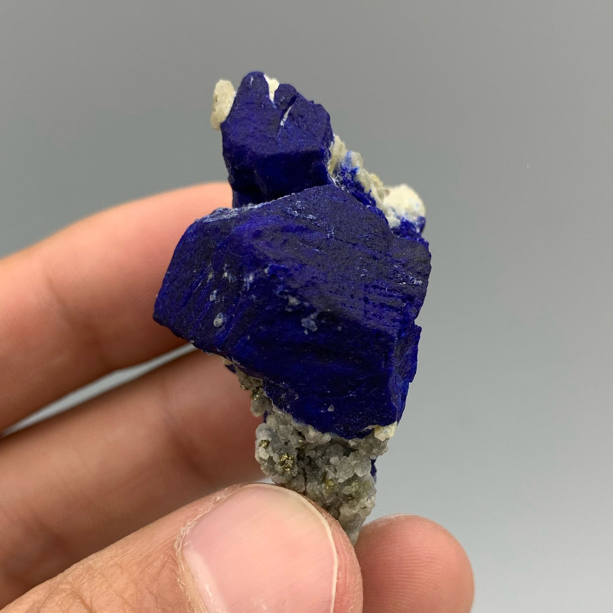 Azure Blue Lazurite Crystals With Pyrite On Albite