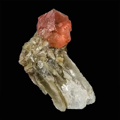 11 Grams Beautiful Gemmy Pink Fluorite Perched on Muscovite