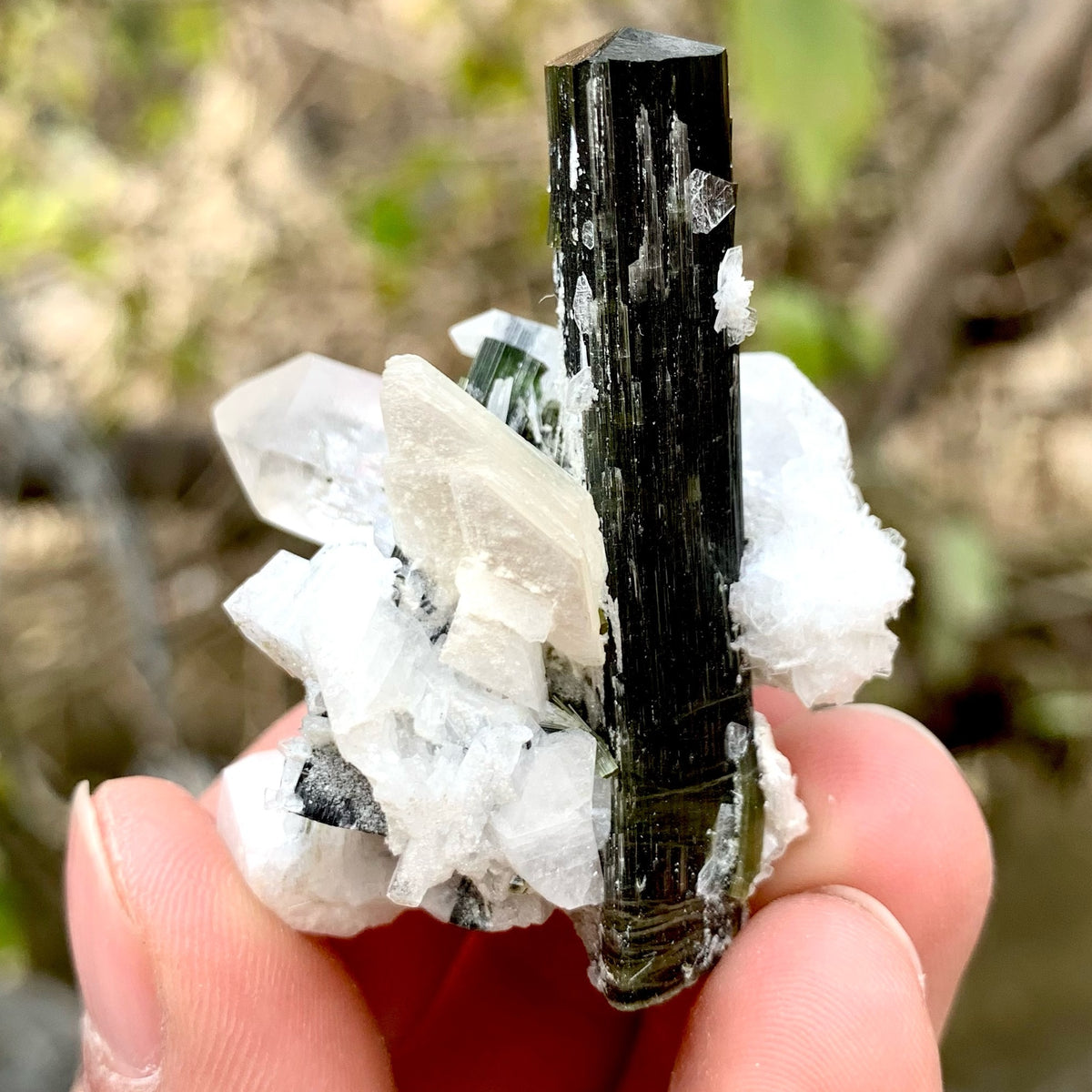 Beautiful Green Cap Tourmaline With Muscovite And Quartz Crystal