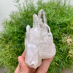 Beautiful Looking Elongated Quartz Crystals Shooting Out Of Quartz Matrix