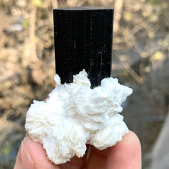 Beautiful Schorl Black Tourmaline With Milky White Cleavlandite