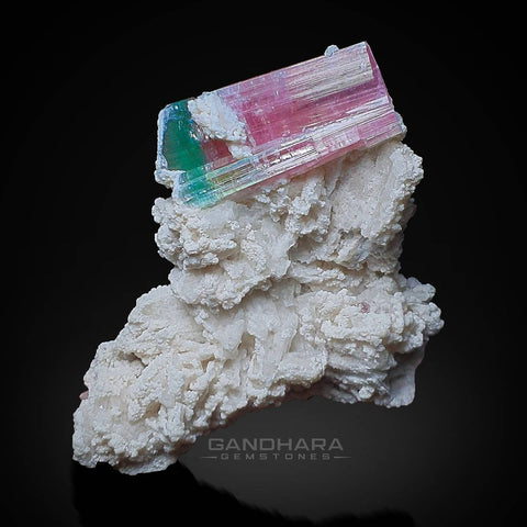 Bicolor Tourmaline Crystal Perched on Albite Matrix