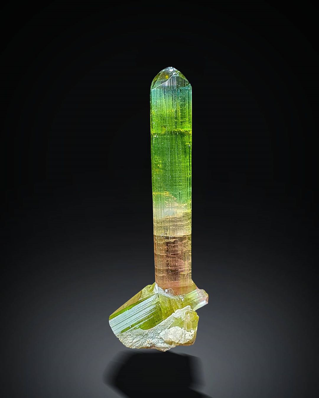 Bicolor Tourmaline Crystal