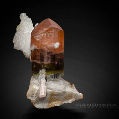 Bicolor Tourmaline with White Albite Wave on Albite Matrix