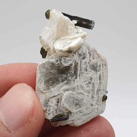 Bicolor Tourmaline Crystals Nicely Perched On Muscovite Mica